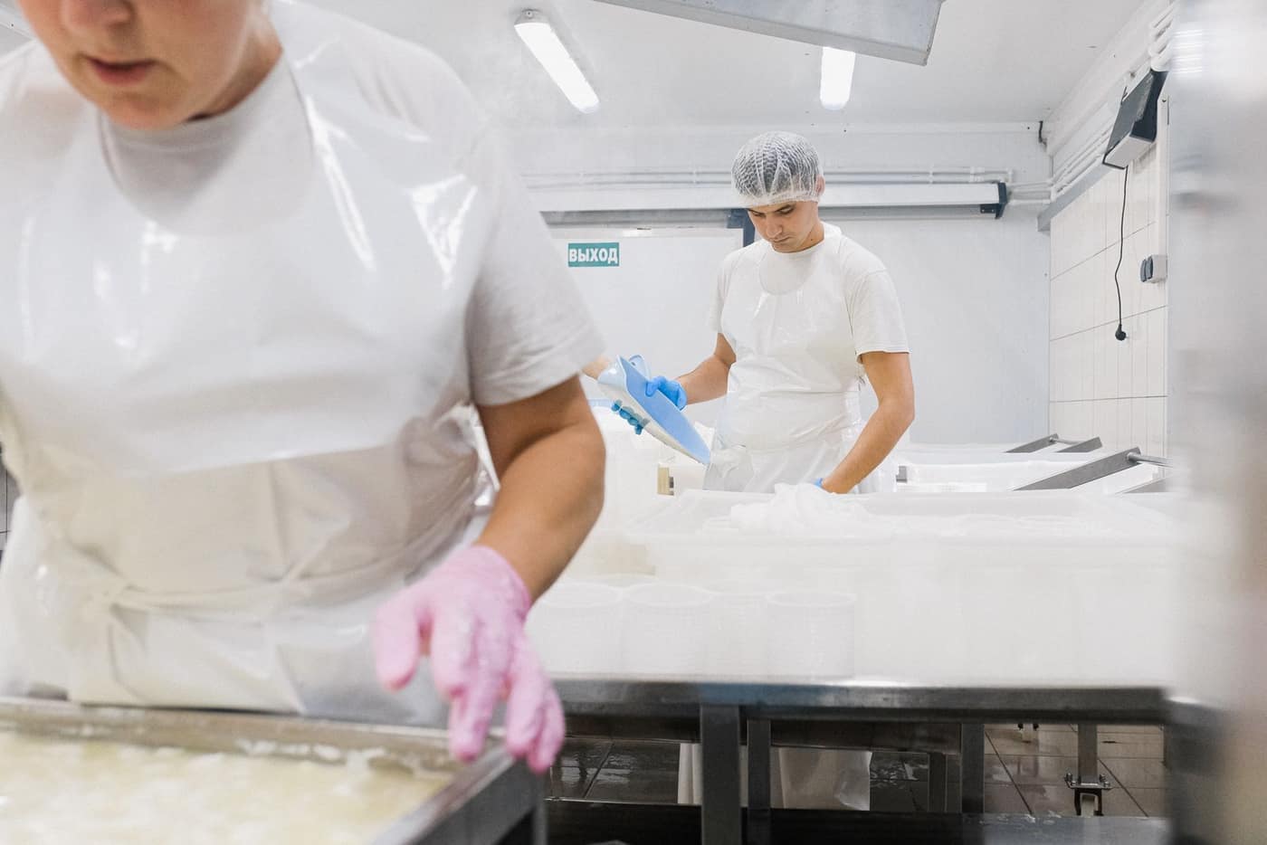 Gowned workers processing dairy product on stainless tables