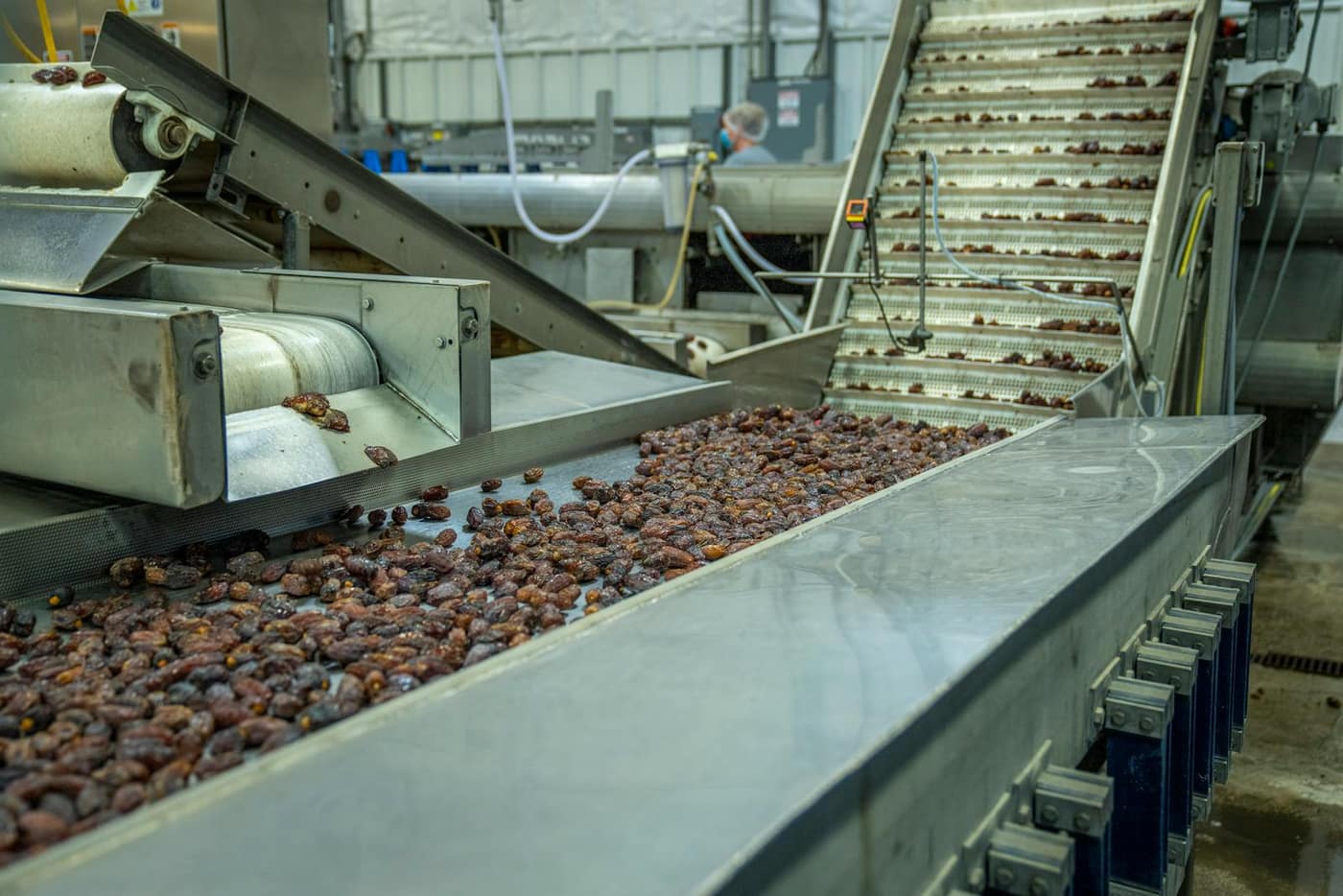 Food sorting and conveyor production line in a processing facility