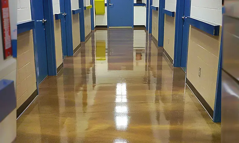 Educational Institutions